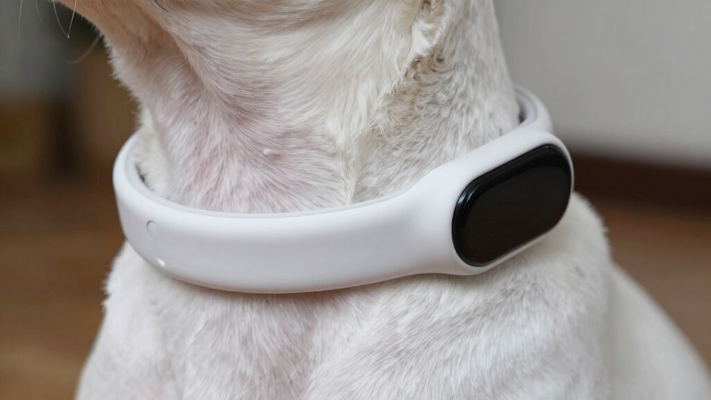 clean inspect maintain protect