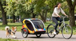 dog bike trailer training