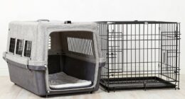 dog crate safety comparison