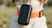 dog gps tracking essentials