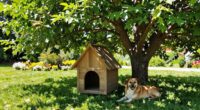 outdoor dog shade solutions
