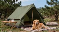 pet safe tent arrangement