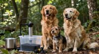 water purification for dogs