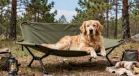 heavy duty camping cots