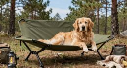 heavy duty camping cots