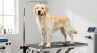 heavy duty large dog grooming