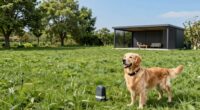 top acreage dog containment