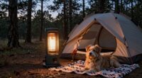 top camping heater guide