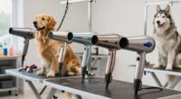 top dog blow dryers