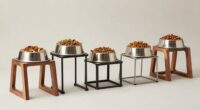 top large dog feeders