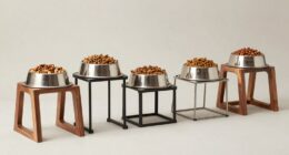 top large dog feeders