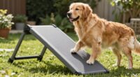top large dog ramps