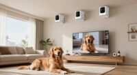 top nvr camera systems