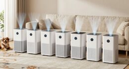 top pet smoke purifiers