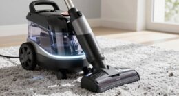 top pet stain extractors