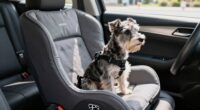 top small dog car seats