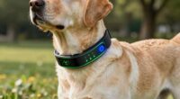 top smart dog collars