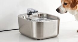 top stainless steel dog fountains