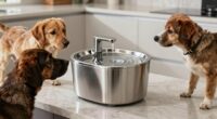top stainless steel fountains