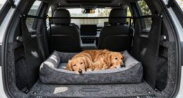 top suv dog barriers
