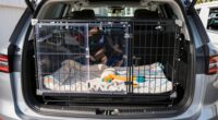 top suv dog crates