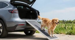 top suv dog ramps