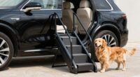 top suv dog stairs