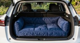 top suv trunk dog beds