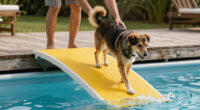 10 Best Dog Pool Ramps for Dock Safety in 2026