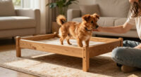 10 Best Elevated Wood Dog Bed Frame Furniture in 2026