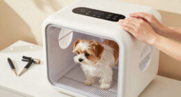 10 Best Pet Drying Box for Home Grooming in 2026