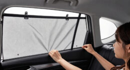 10 Best Rear-Seat Window Shades for Dogs in 2026