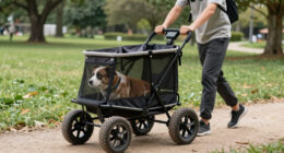 11 Best All-Terrain Dog Stroller With Big Wheels in 2026