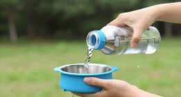 12 Best High-Capacity Portable Dog Water Bottles in 2026