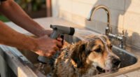12 Best Utility Sink Sprayer Station for Dog Washing in 2026