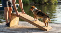 13 Best Floating Dog Ramp for Boat and Dock in 2026