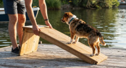 13 Best Floating Dog Ramp for Boat and Dock in 2026