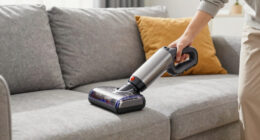 13 Best Pet Hair Grooming Vacuum for Shedding Dogs in 2026