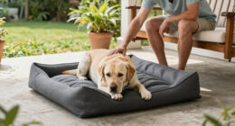14 Best Cooling Gel Dog Bed for Large Dogs in 2026