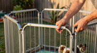 14 Best Extra-Tall Metal Dog Playpen for Puppies in 2026