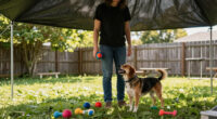 7 Best Dog Play Yard With Weather Cover in 2026