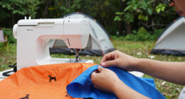 8 Best Family Camping Tent For Dogs in 2026