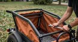 8 Best Pet Bike Trailer for Large Dogs in 2026