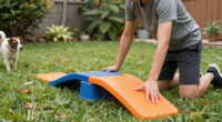9 Best Dog Training Platform Place Board in 2026