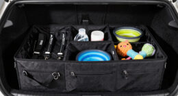 9 Best Trunk Organizer for Dog Travel Gear in 2026