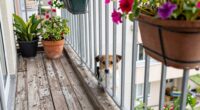 balcony risks for dogs