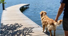 building trust before swimming