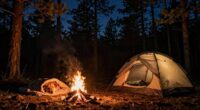 camping with dog tips