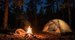 camping with dog tips