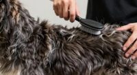 carefully trim double coats